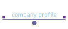 company profile